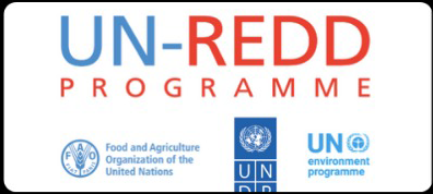 UN-REDD Programme logo